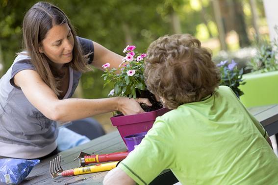 Activités jardinage à CHATENAY MALABRY