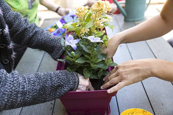 Montessori à Hippocrate, Chatenay-malabry
