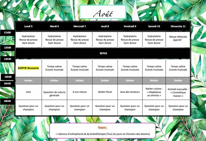 Planning d'animation de la résidence Hippocrate à Chatenay-Malabry
