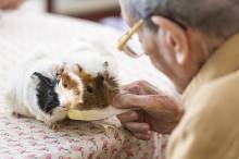 Nos prestations sur le secteur de Marseille